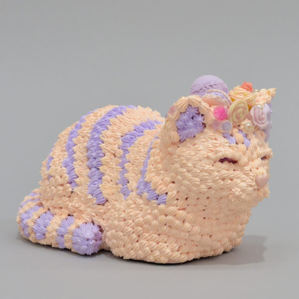 sweet cat