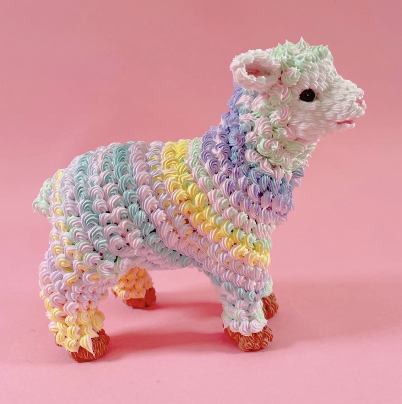 Cream Sheep｜渡辺 おさむ