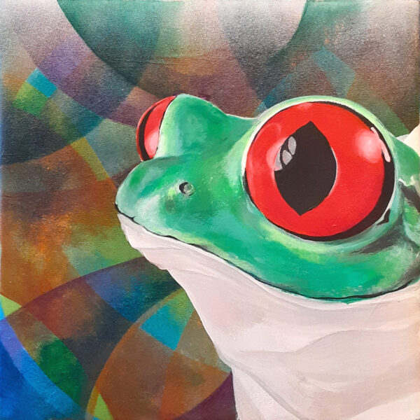 アカメアマガエル