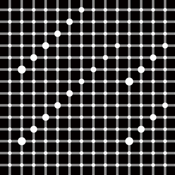 DOTSTARS quatro