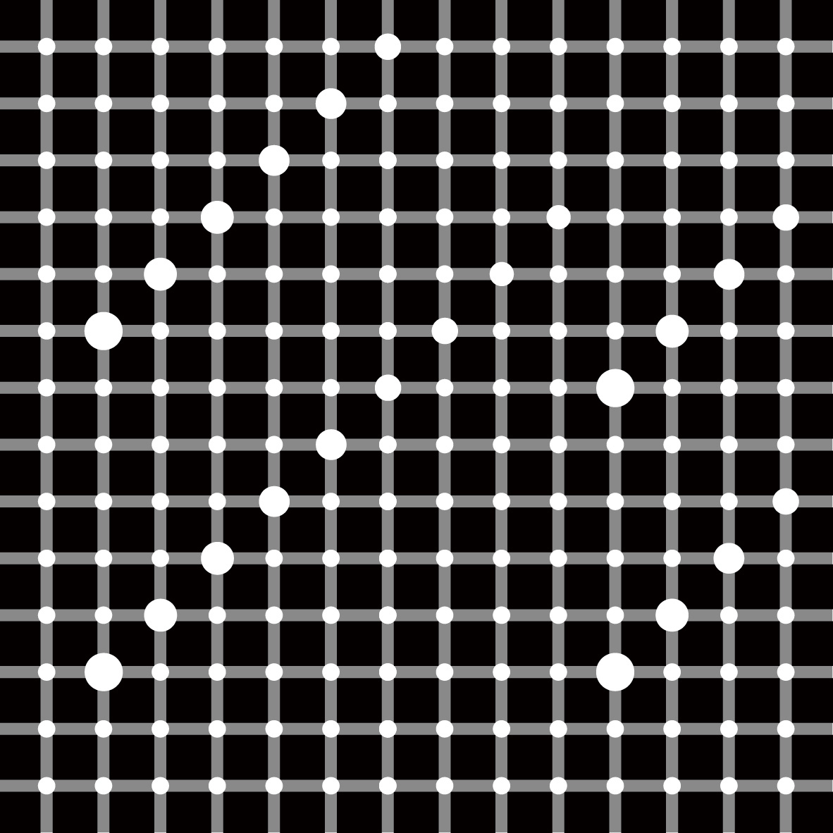 DOTSTARS quatro｜牧 聖一朗