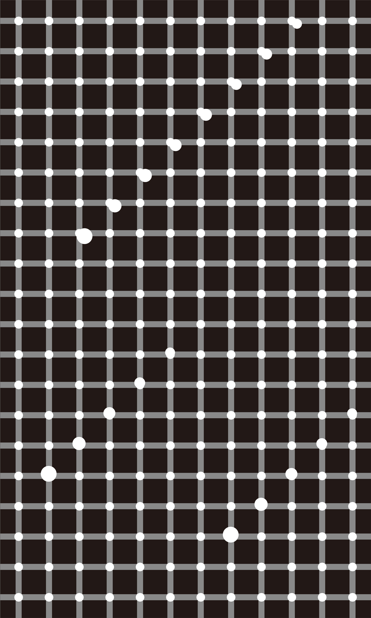 DOTSTARS｜牧 聖一朗